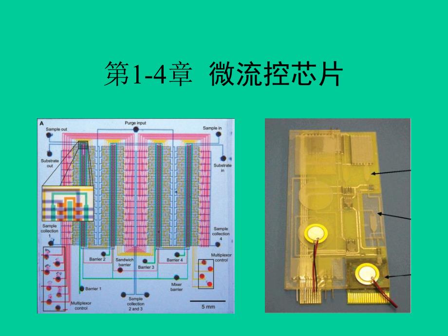 第14章微流控芯片.ppt_第1页