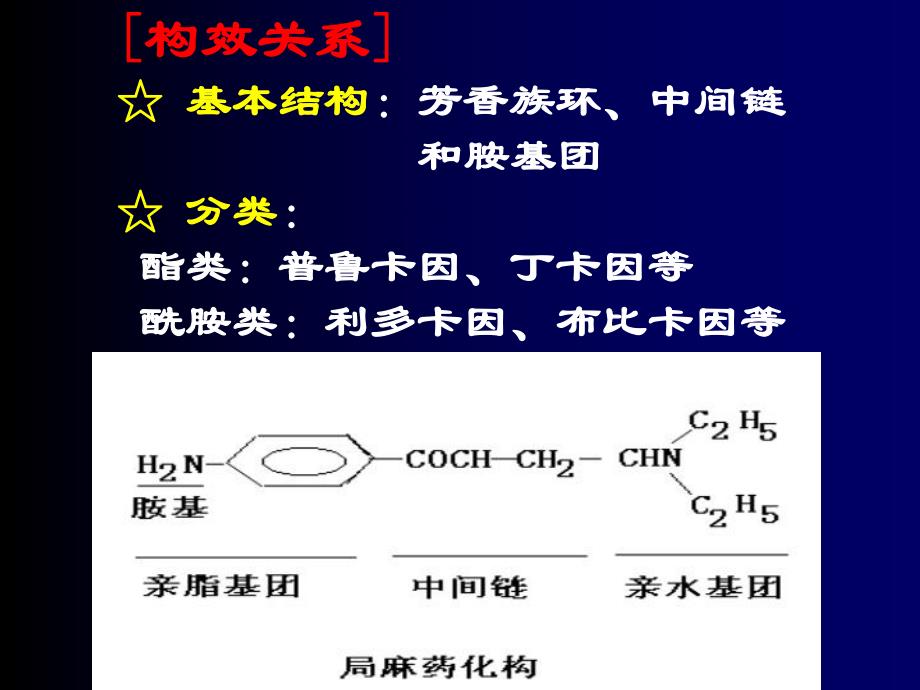 第10章局麻药.ppt_第2页