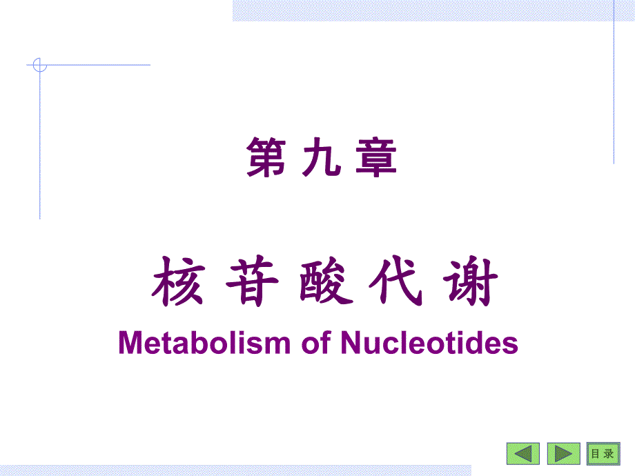 第09章核苷酸.ppt_第1页