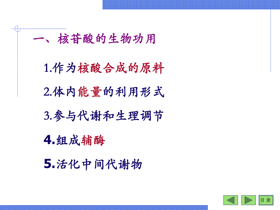 第09章核苷酸.ppt_第3页