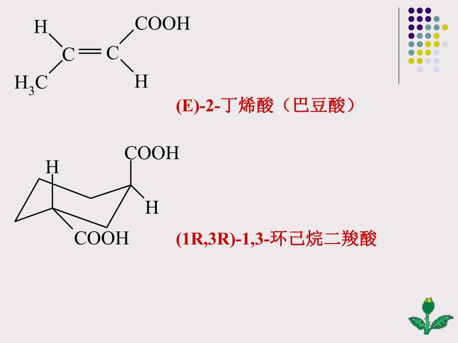 第10章羧酸和取代羧酸.ppt_第3页