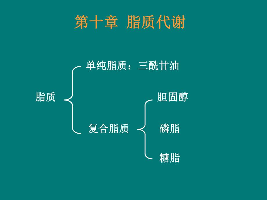 第10章脂质代谢.ppt_第2页