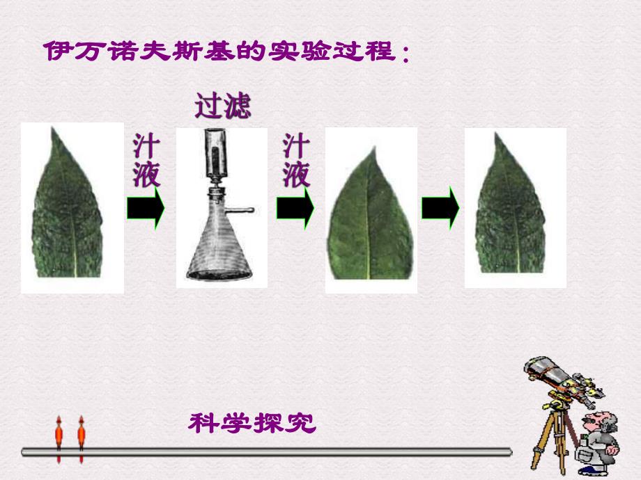 病毒与人类的关系名师编辑PPT课件.ppt_第3页