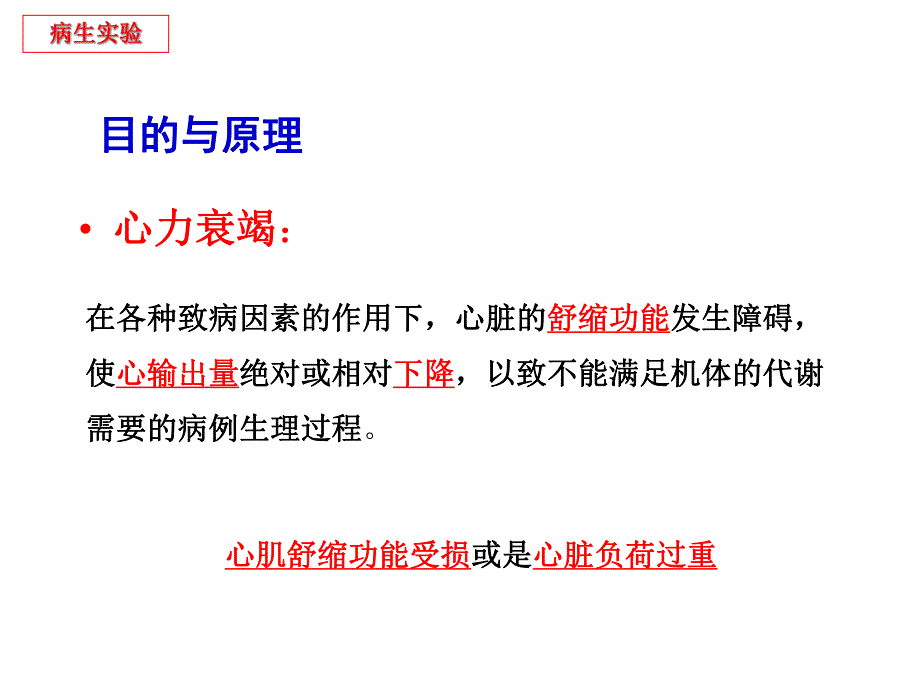 疾病模型复制之急性右心衰竭.ppt_第2页