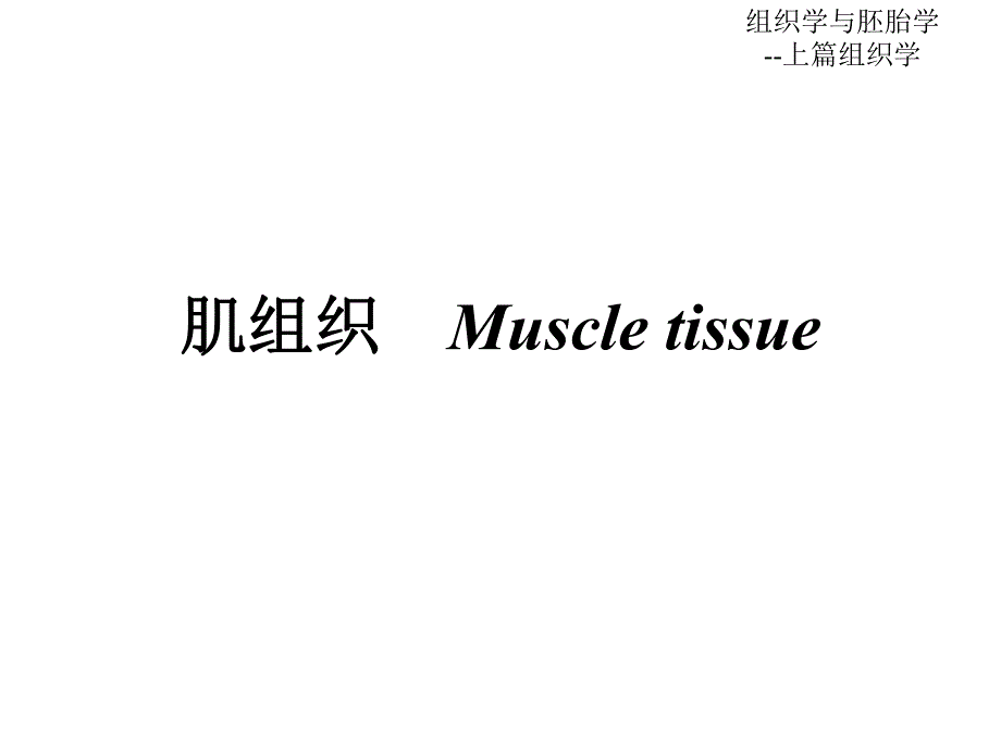 第06章肌组织.ppt_第1页