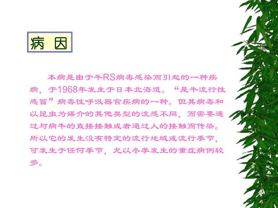 病毒感染症名师编辑PPT课件.ppt_第2页