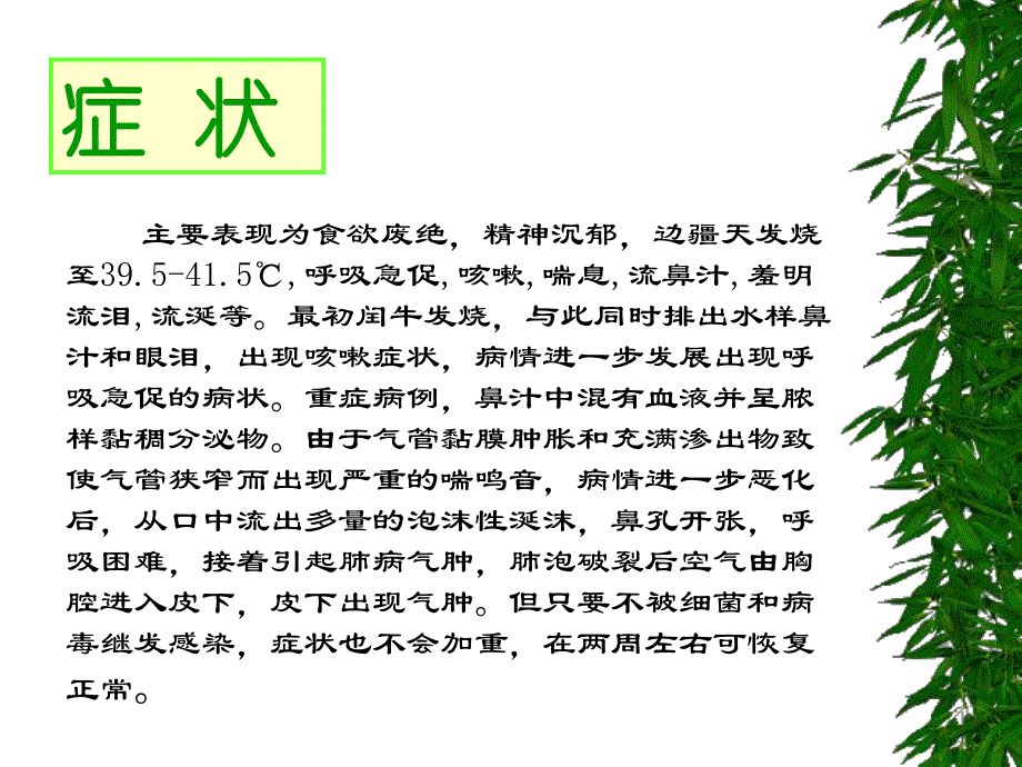 病毒感染症名师编辑PPT课件.ppt_第3页