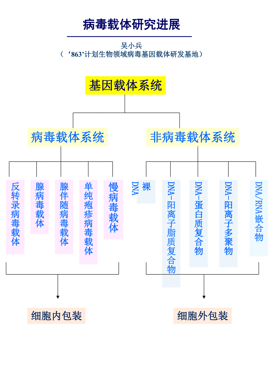 病毒载体研究进展名师编辑PPT课件.ppt_第1页