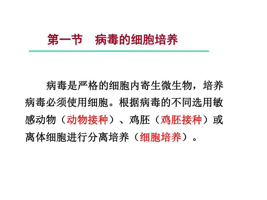 病毒与细胞的相互作用.ppt_第2页