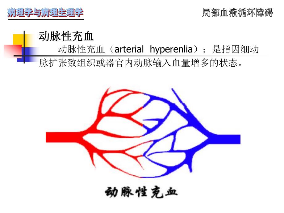 病理学第3章局部血液循环障碍.ppt_第3页