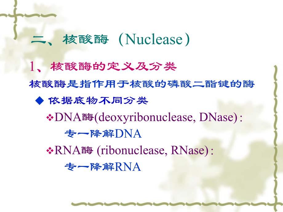 第10章核酸的降解与核苷酸代谢.ppt_第3页