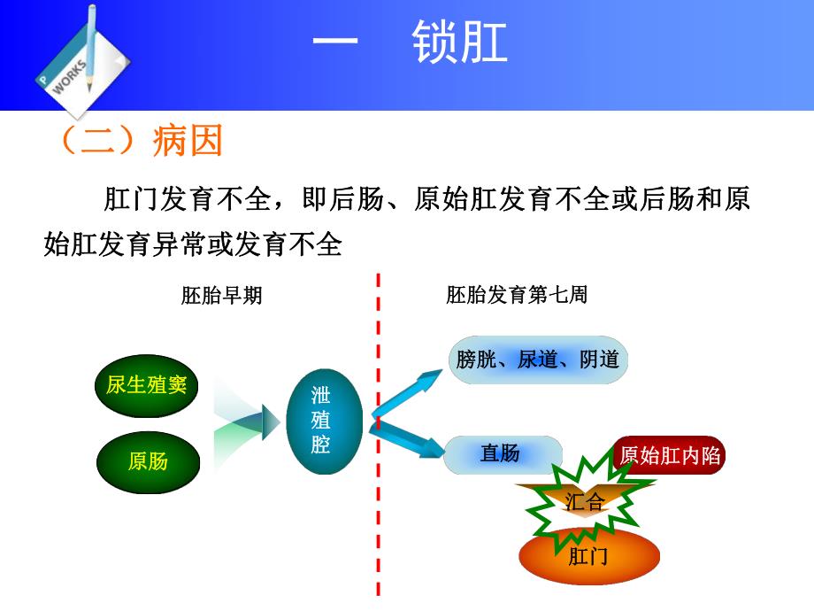 第10章直肠及肛门疾病.ppt_第3页