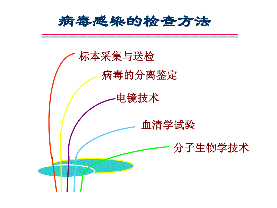 病毒感染检查方法名师编辑PPT课件.ppt_第1页