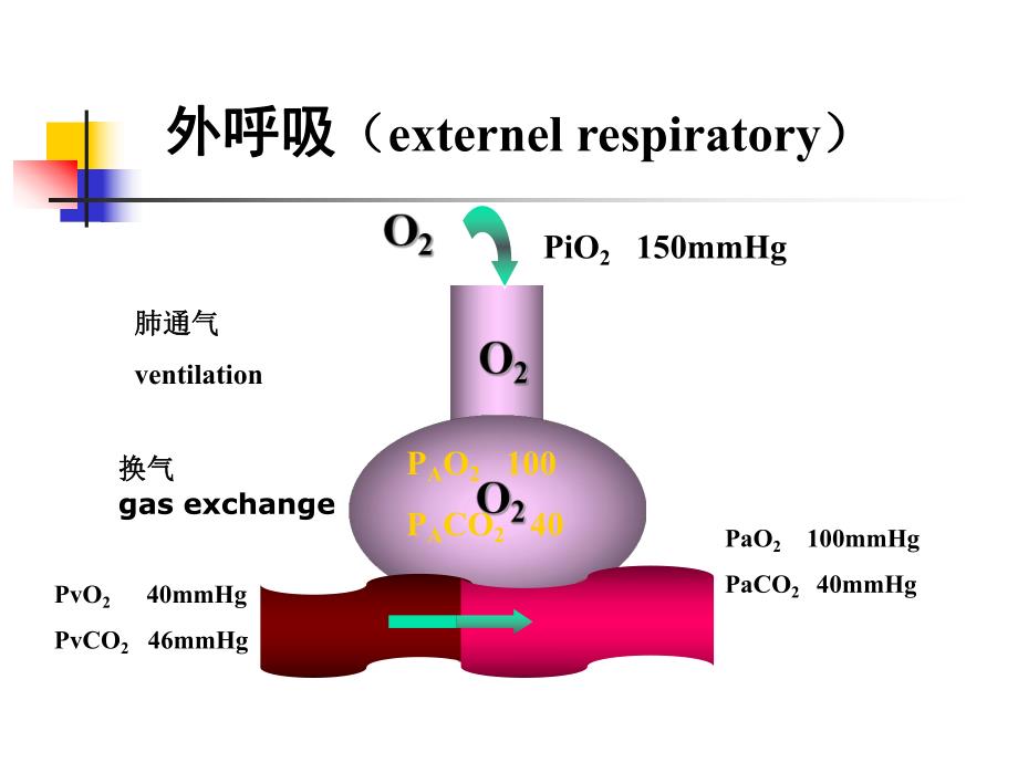 病理生理第16章呼吸衰竭.ppt_第3页