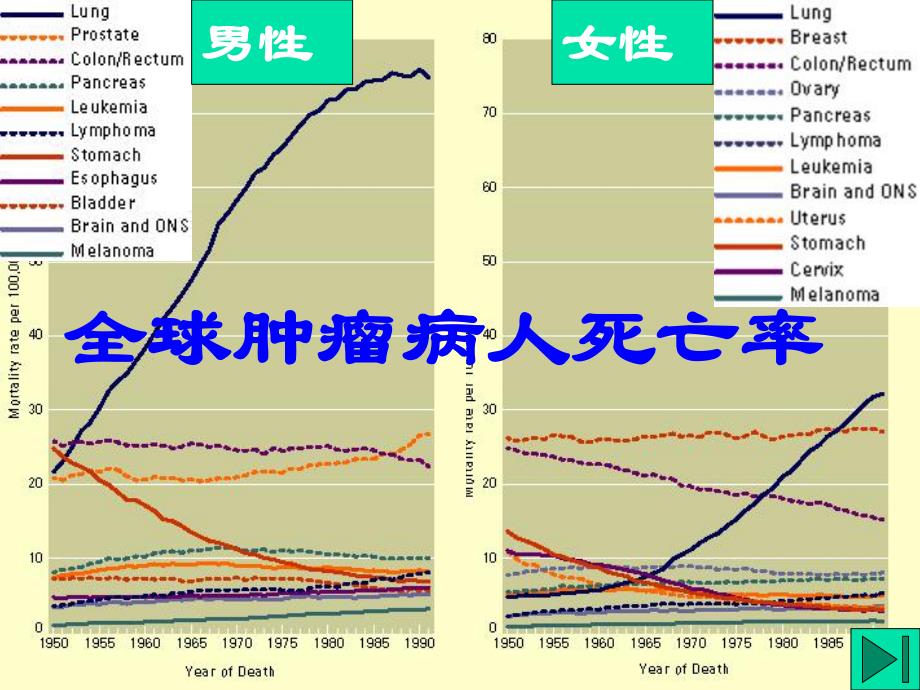 病理课件.ppt_第3页