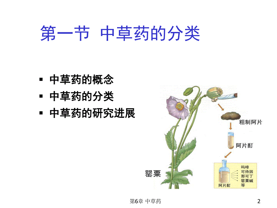 第07章中草药.ppt_第2页