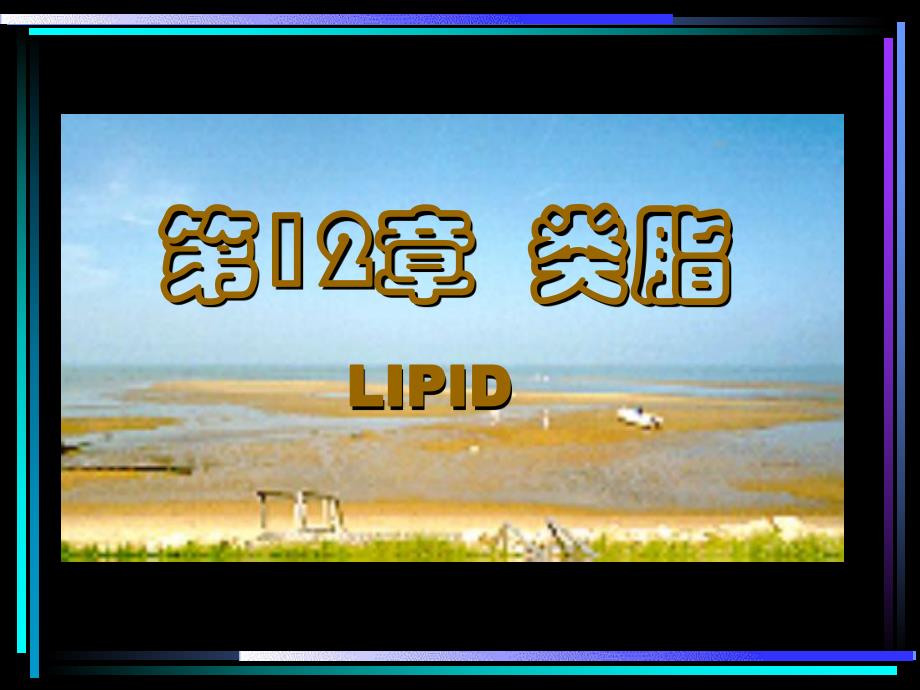 第12章类脂.ppt_第1页