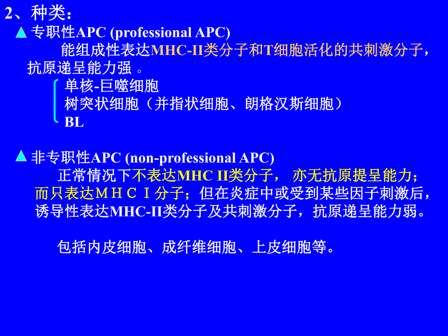 第11章APC与抗原提呈.ppt_第3页