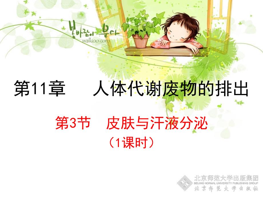 第11章人体代谢废物的排出名师编辑PPT课件.ppt_第1页