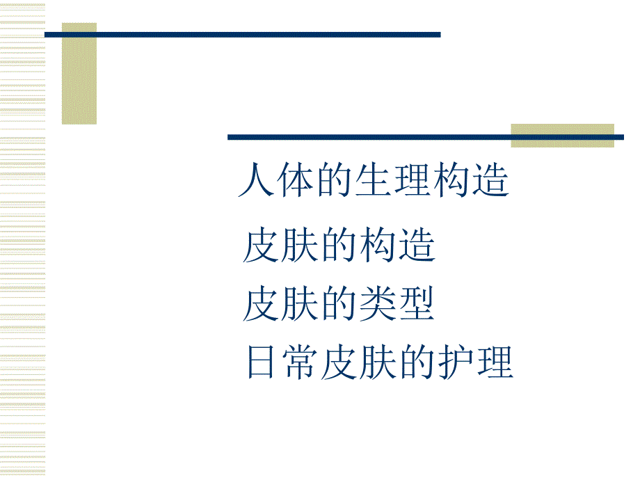 皮肤生理学01.ppt_第2页