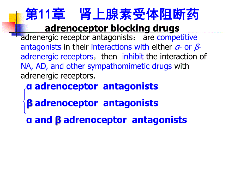 第11章肾上腺素受体阻断药.ppt_第1页