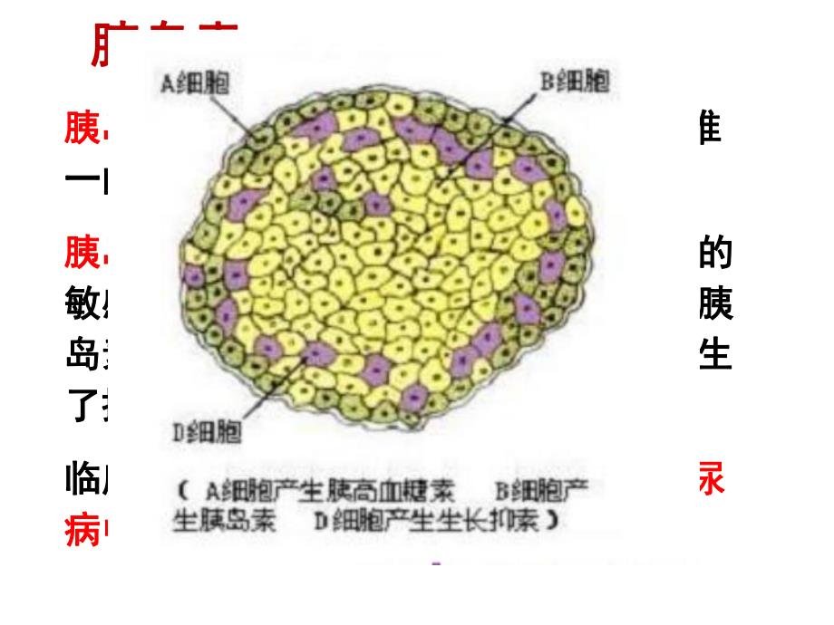 第12章食品与营养相关疾病4糖尿病名师编辑PPT课件.ppt_第3页