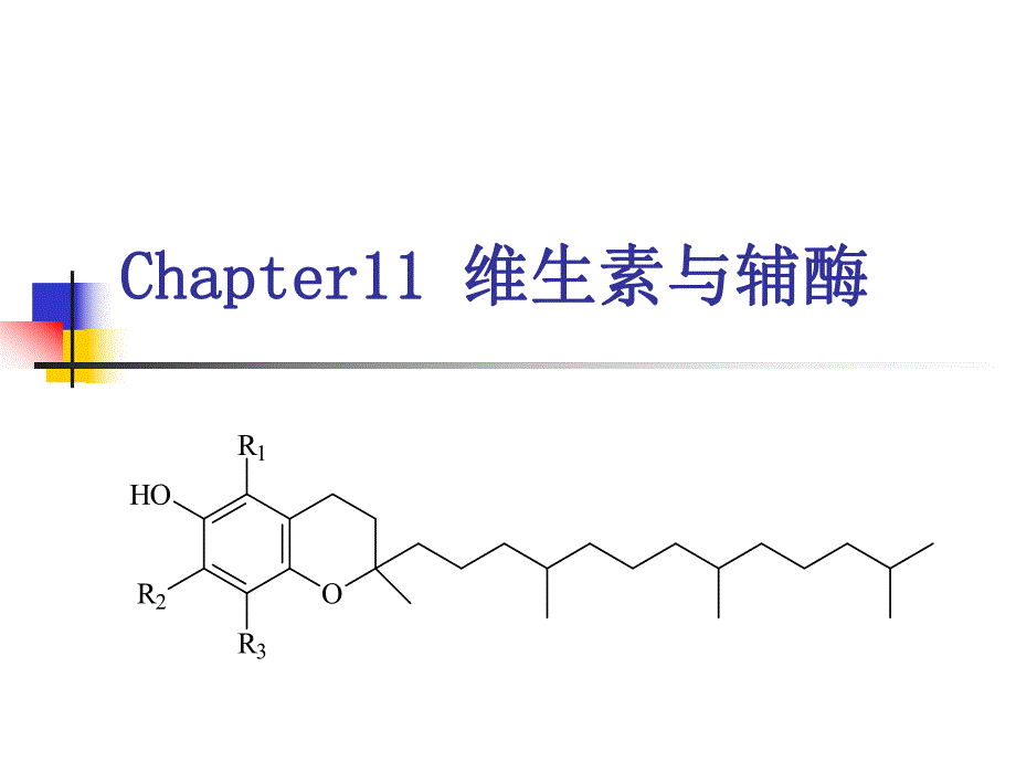 第11章维生素、辅酶.ppt_第1页