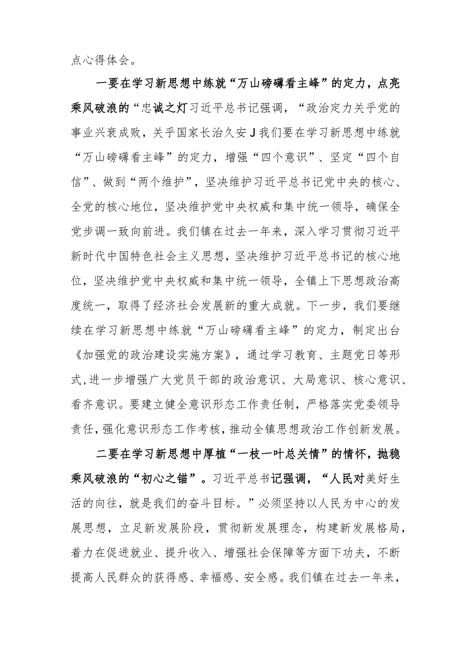 镇长2023年度主题教育专题读书班研讨发言提纲.docx_第2页