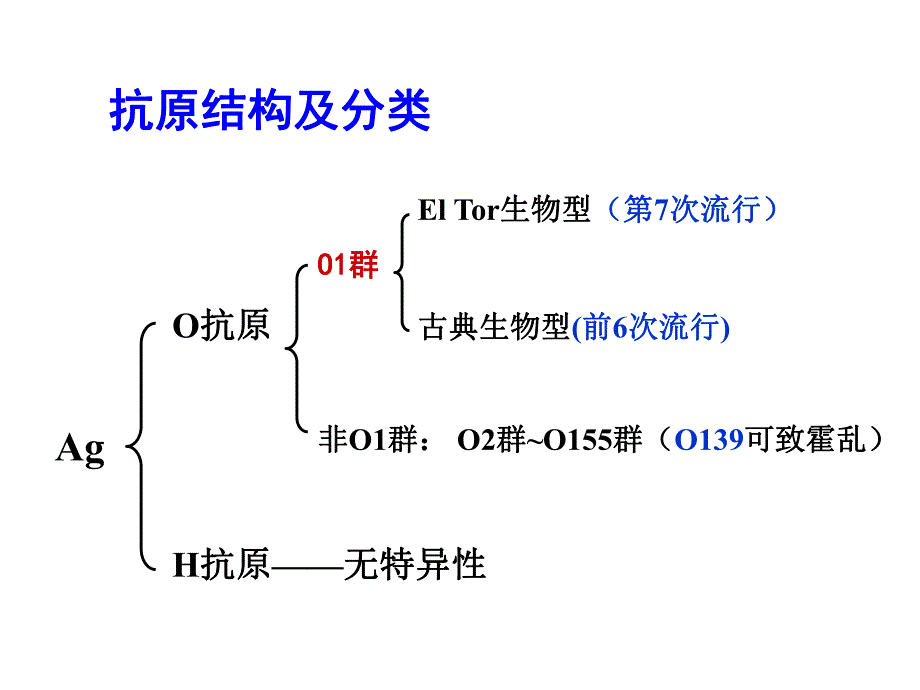 第11章弧菌属.ppt_第3页