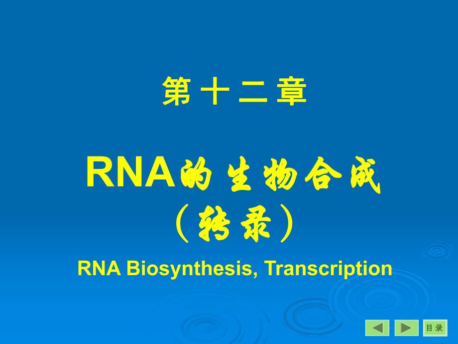 第12章转录.ppt_第1页