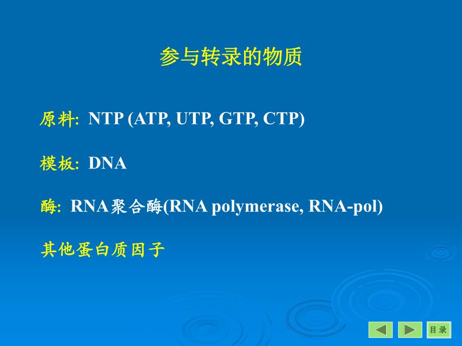 第12章转录.ppt_第3页