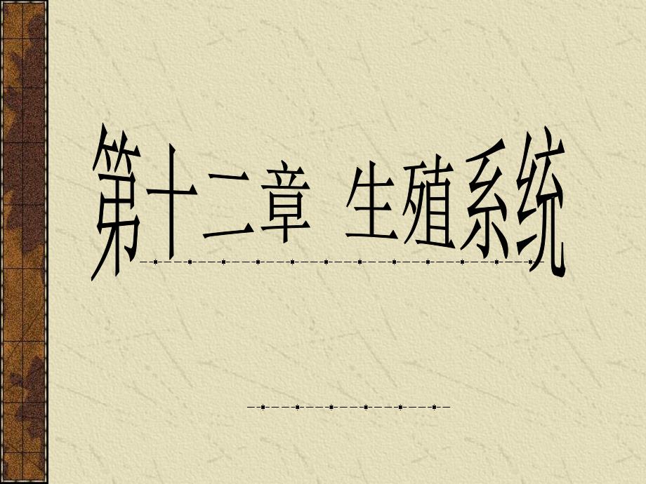 第12章生殖系统.ppt_第1页