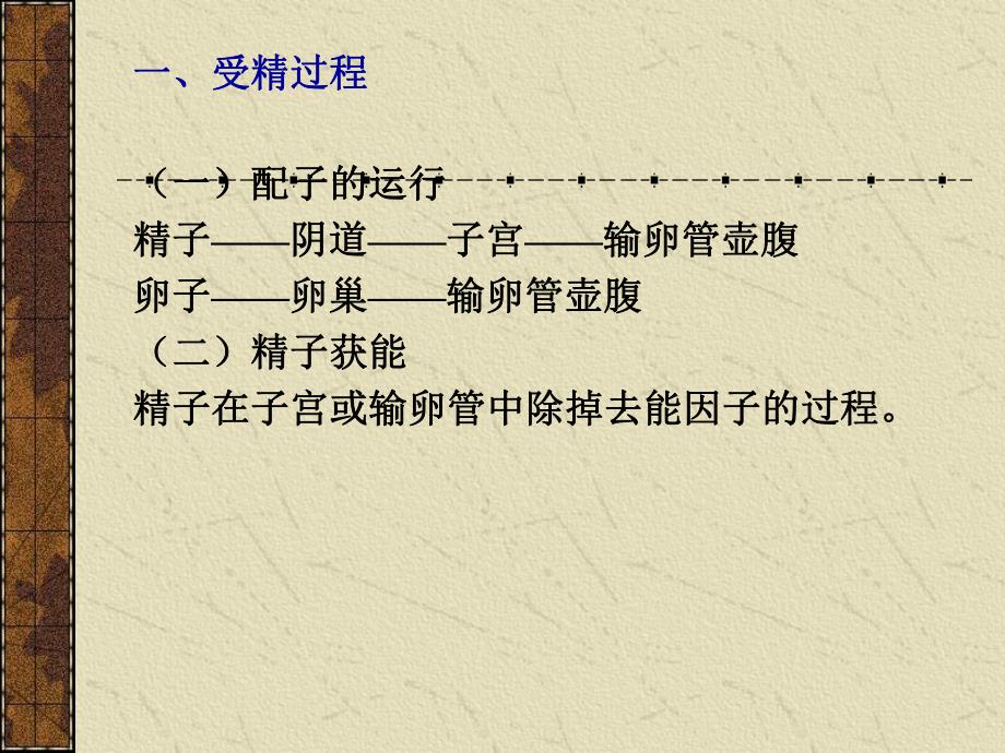 第12章生殖系统.ppt_第3页