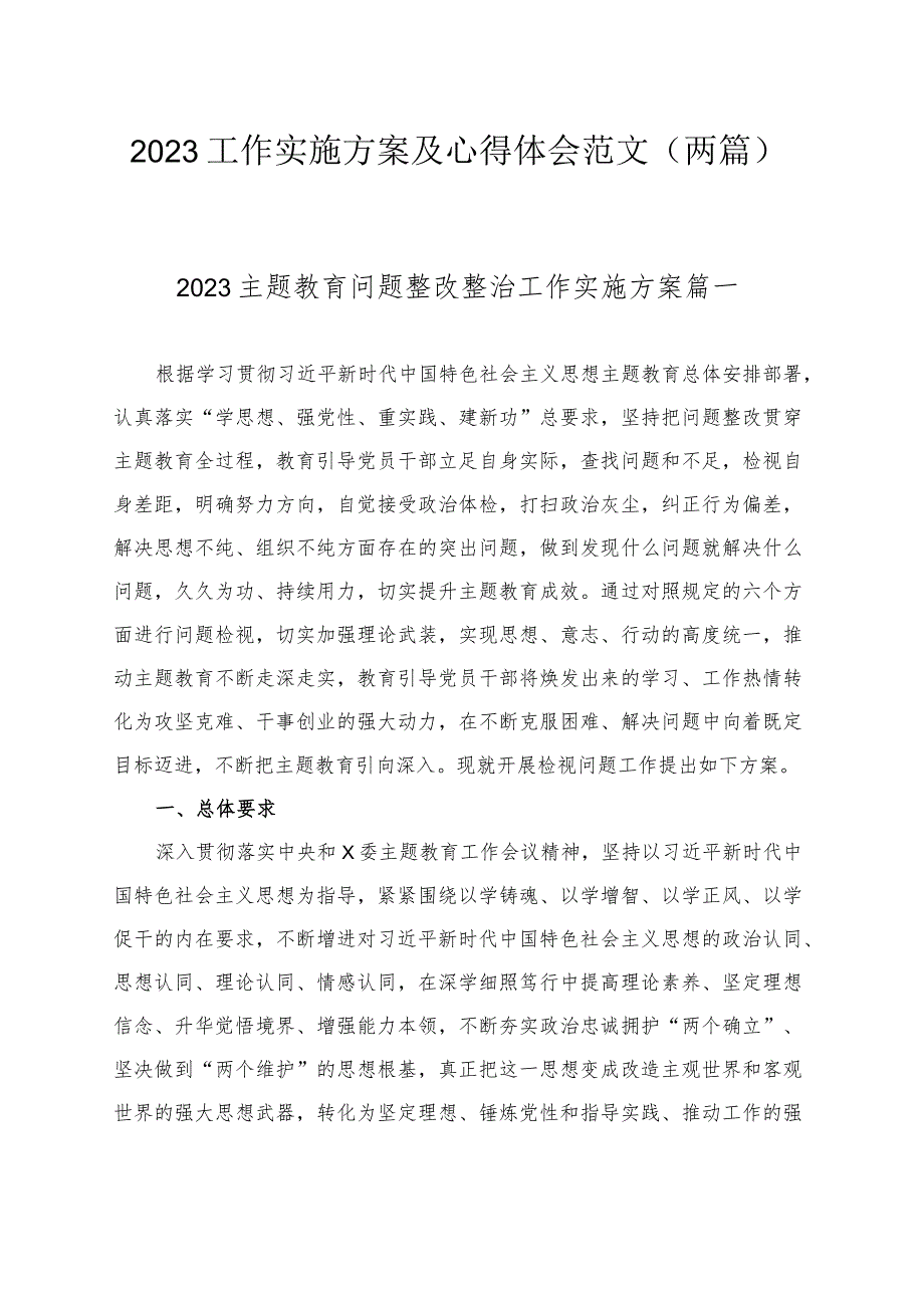 2023工作实施方案及心得体会范文（两篇）.docx_第1页