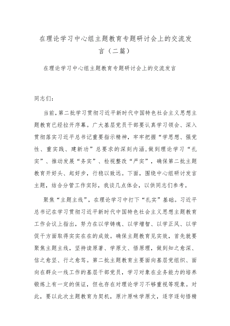 在理论学习中心组主题教育专题研讨会上的交流发言(二篇).docx_第1页