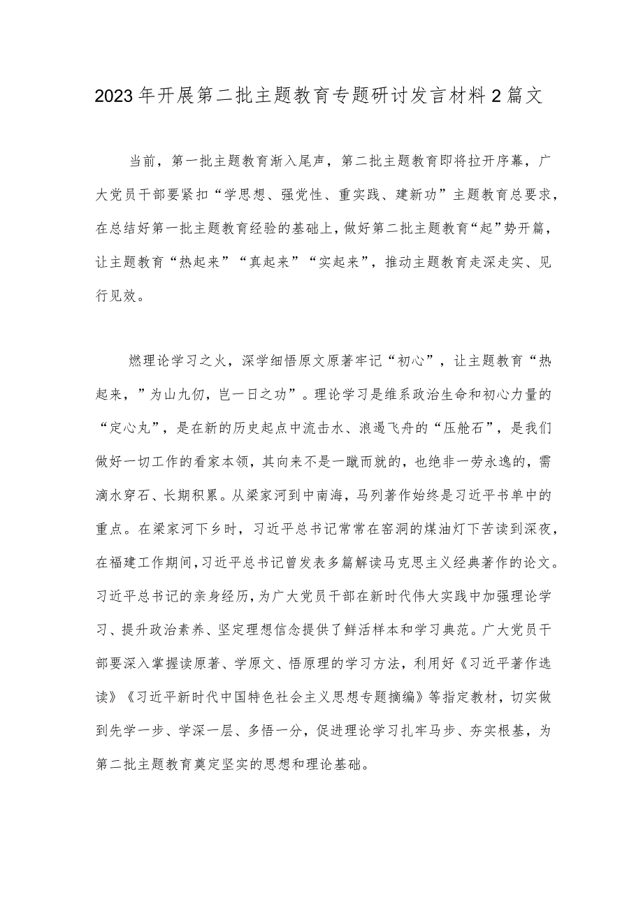 2023年开展第二批主题教育专题研讨发言材料2篇文.docx_第1页