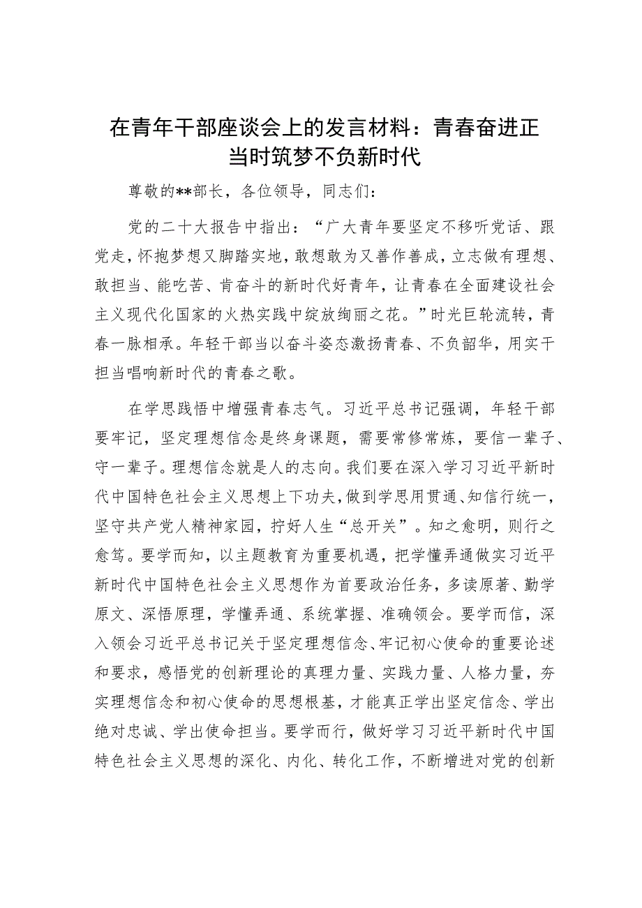 在青年干部座谈会上的发言材料：青春奋进正当时 筑梦不负新时代.docx_第1页