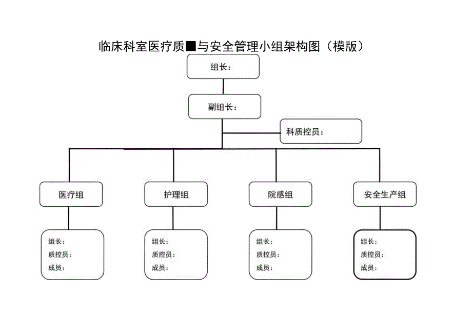 临床科室医疗质量与安全管理小组架构模版(含架构图).docx_第3页