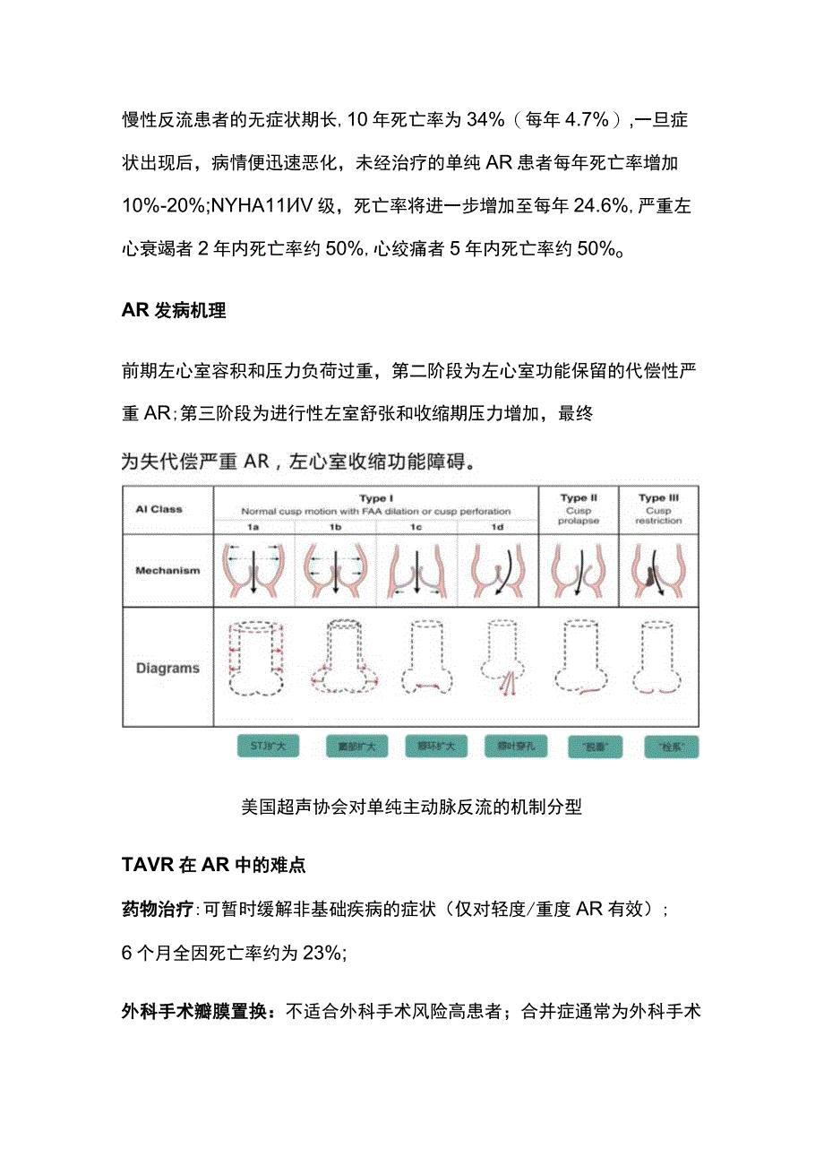 经导管主动脉瓣置换术在主动脉瓣反流患者中的应用进展GWICC 2023.docx_第3页