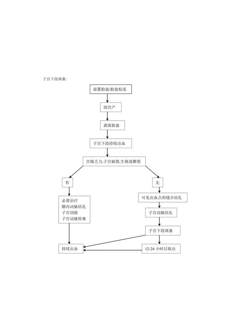 子宫下段填塞流程图.docx_第1页