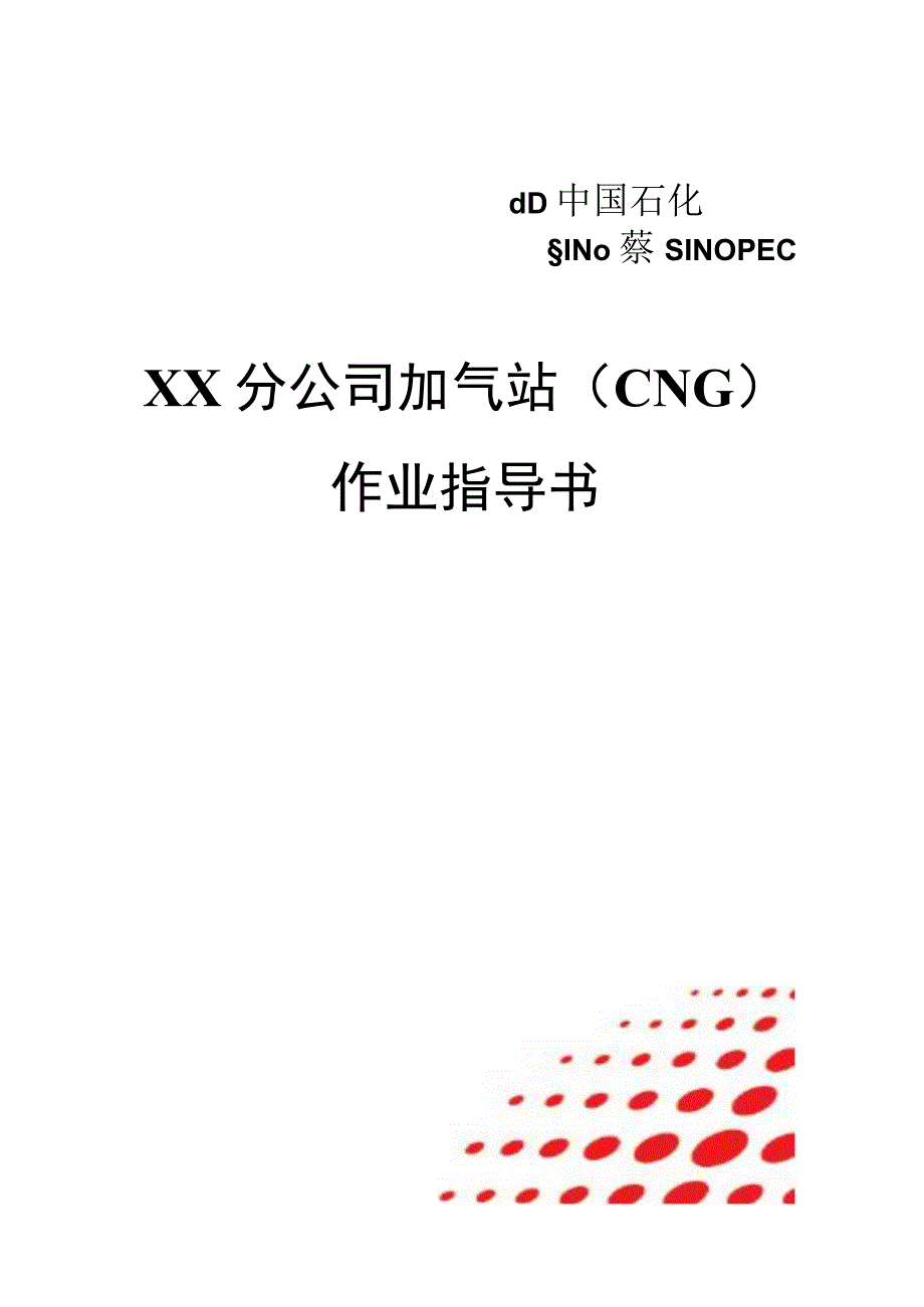 加气站（CNG）作业指导书.docx_第1页