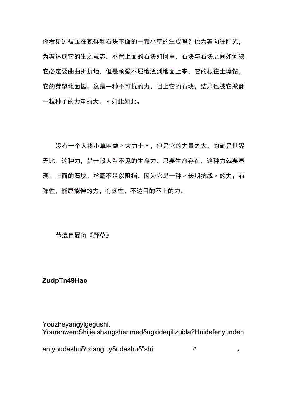 普通话测试朗读 全文注音标准版野草.docx_第2页