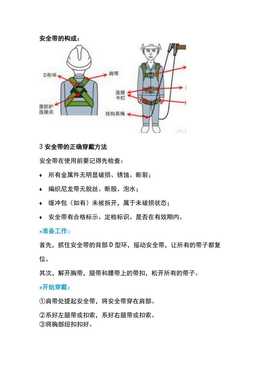 正确使用安全带的重要性.docx_第2页