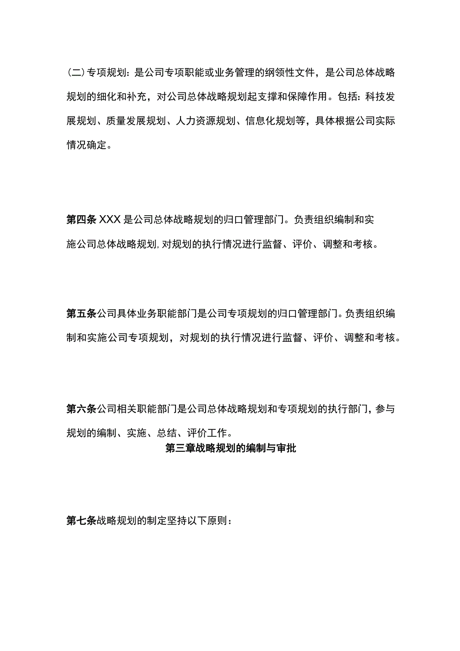 某公司战略规划管理办法.docx_第2页