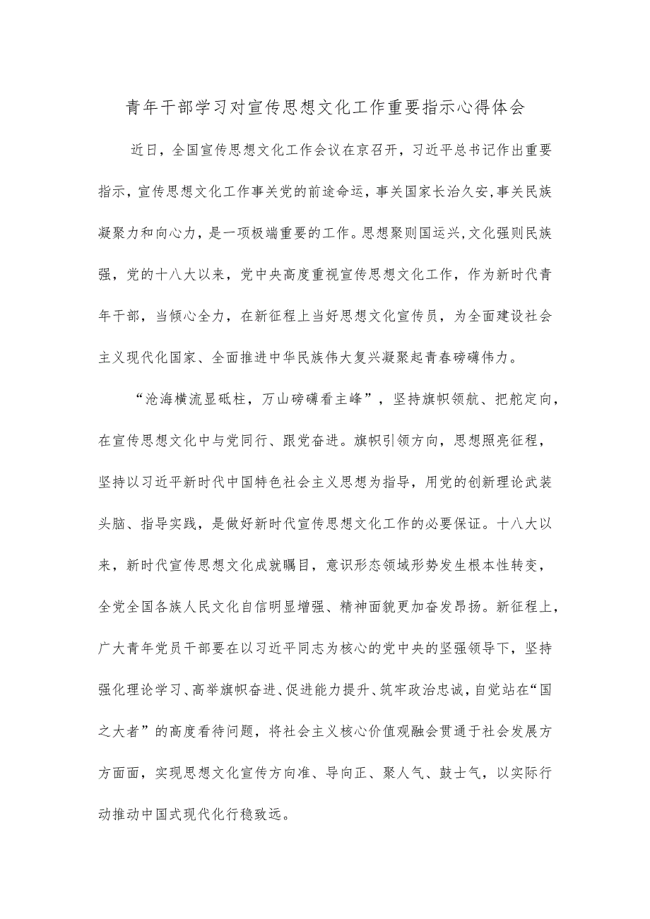 青年干部学习对宣传思想文化工作重要指示心得体会.docx_第1页