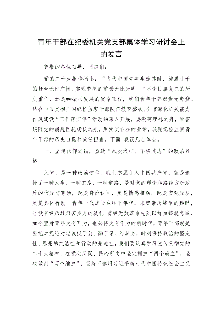 青年干部在纪委机关党支部集体学习研讨会上的发言.docx_第1页