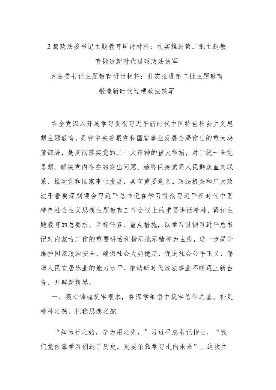 2篇政法委书记主题教育研讨材料：扎实推进第二批主题教育 锻造新时代过硬政法铁军.docx_第1页