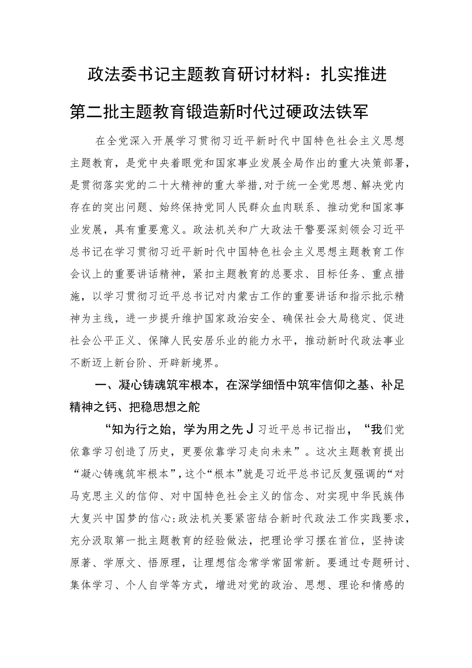 政法委书记主题教育研讨材料：扎实推进第二批主题教育+锻造新时代过硬政法铁军.docx_第1页