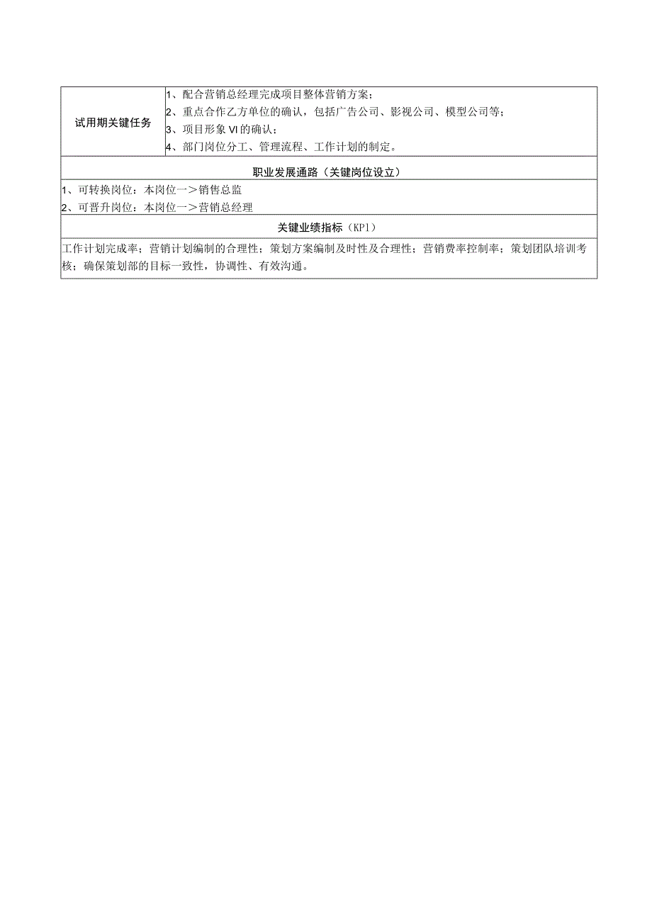 策划总监岗位说明书.docx_第2页