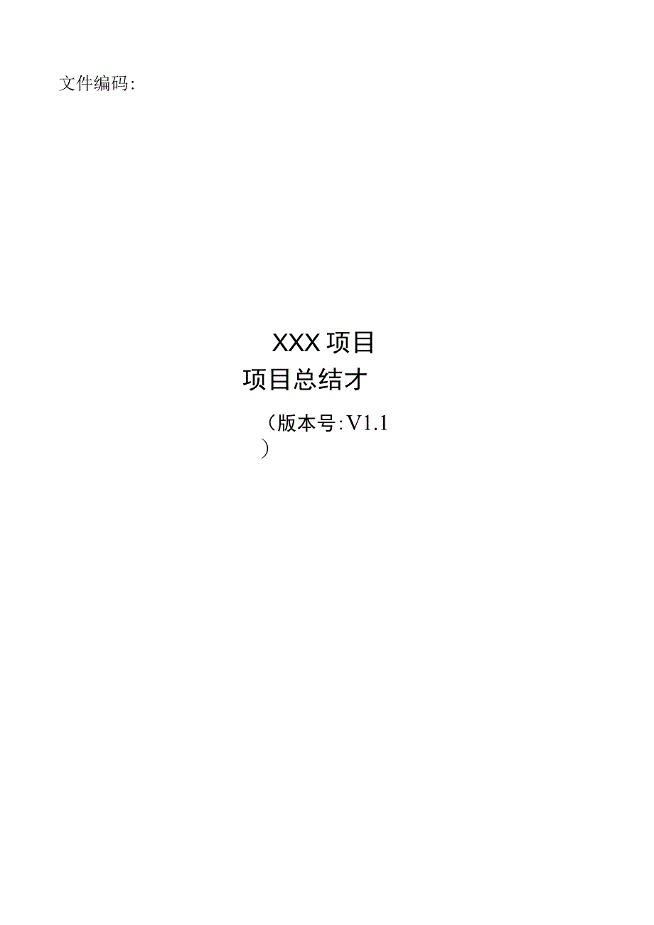 项目管理模板-IT项目总结报告.docx_第1页